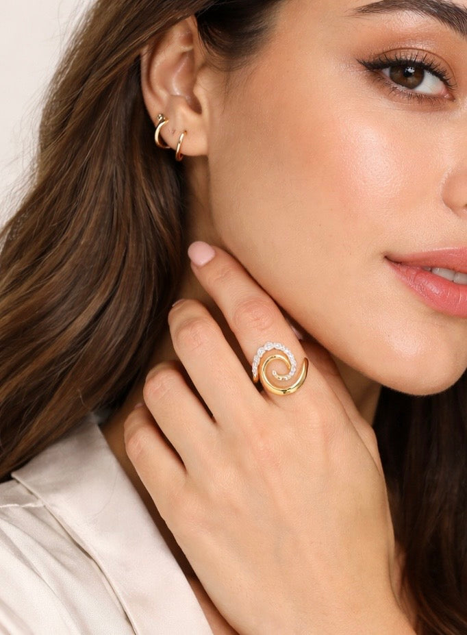 The Spiral Wave Ring